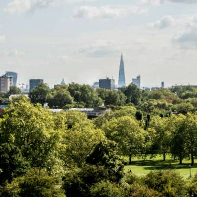 Holland Park Tuition & Education Consultants